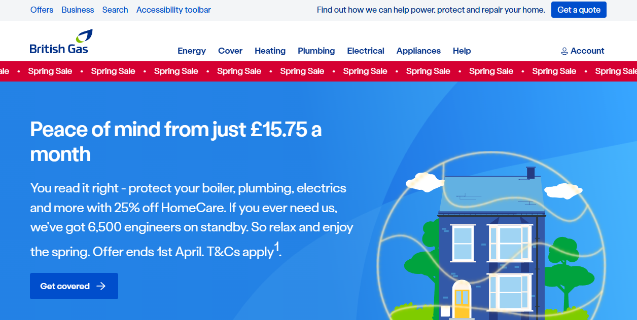 Bg Gas Services Ltd website homepage