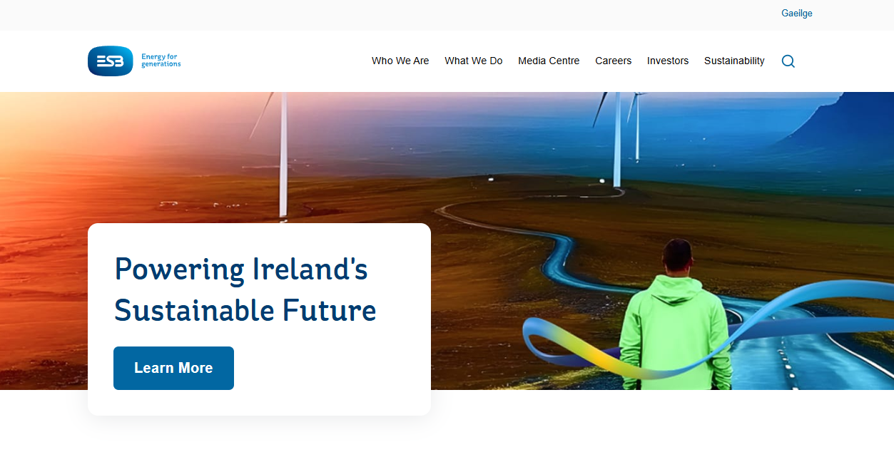 Electricity Supply Board website homepage