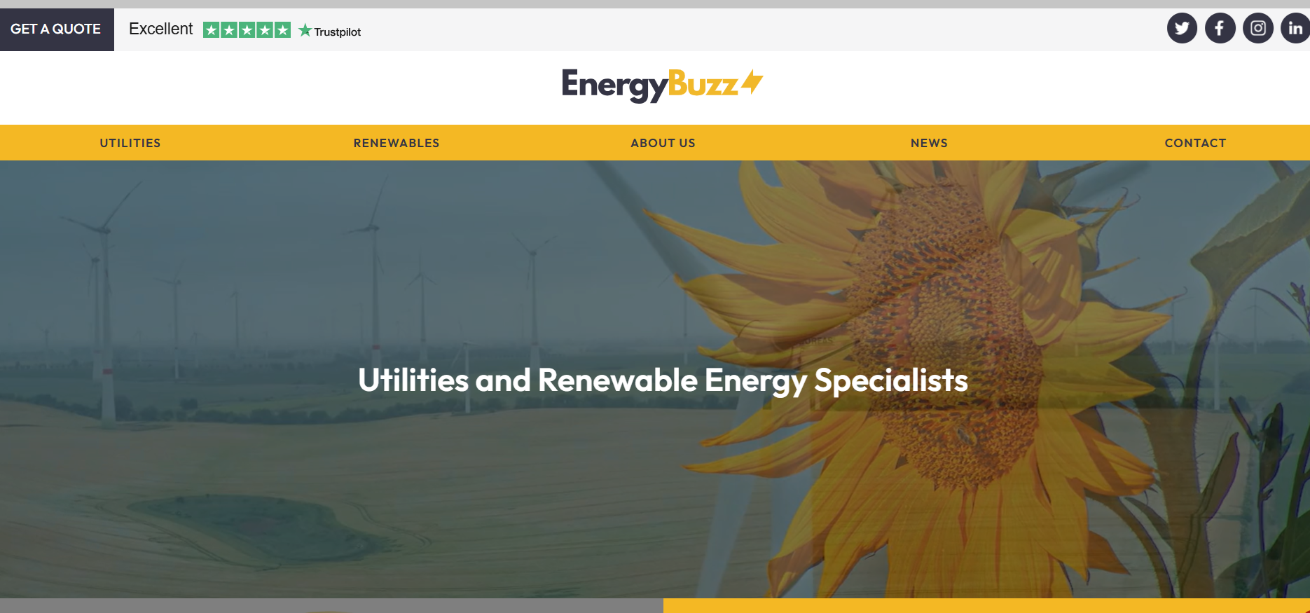 Energy Buzz Limited homepage