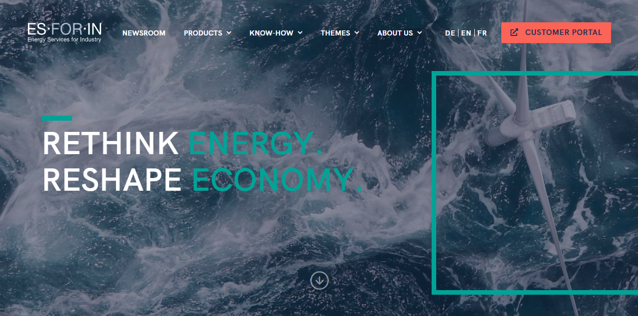 Es For In Se website homepage