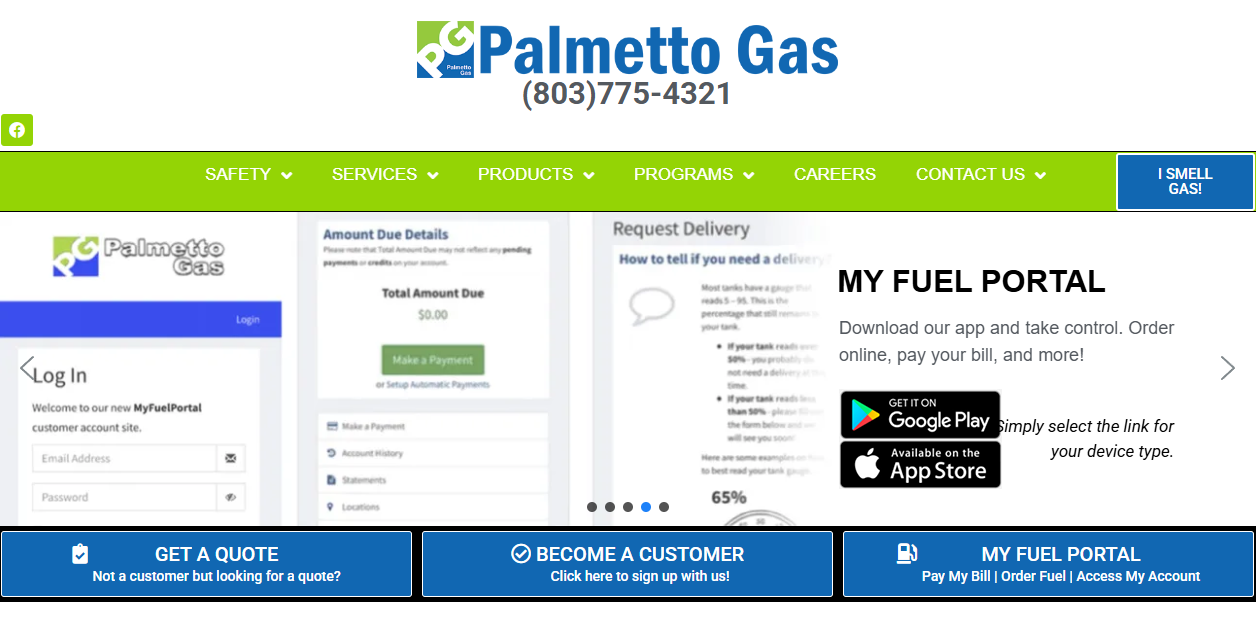 Palmetto Natural Gas Holdings Llc  website homepage
